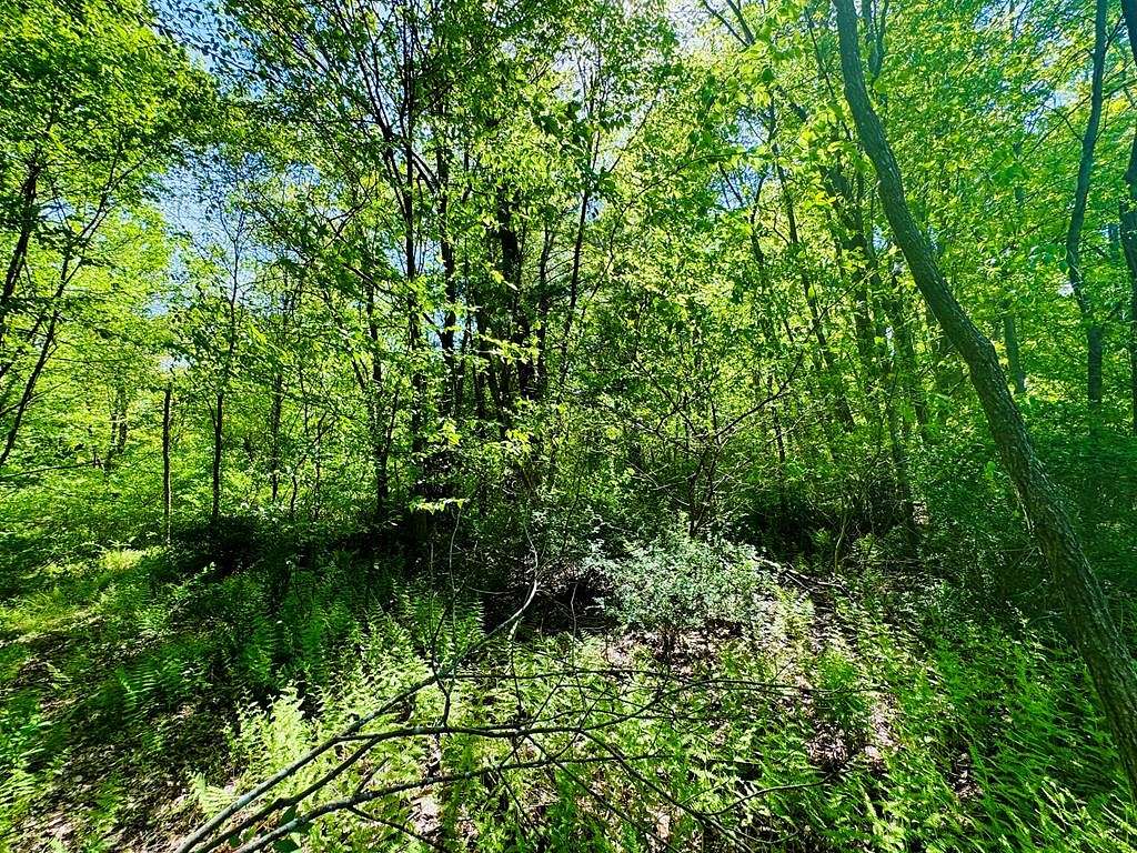 2.5 Acres of Residential Land for Sale in James Creek, Pennsylvania
