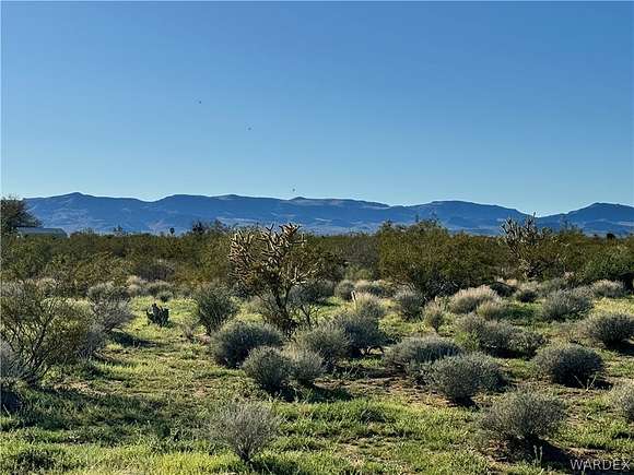 10 Acres of Land for Sale in Golden Valley, Arizona