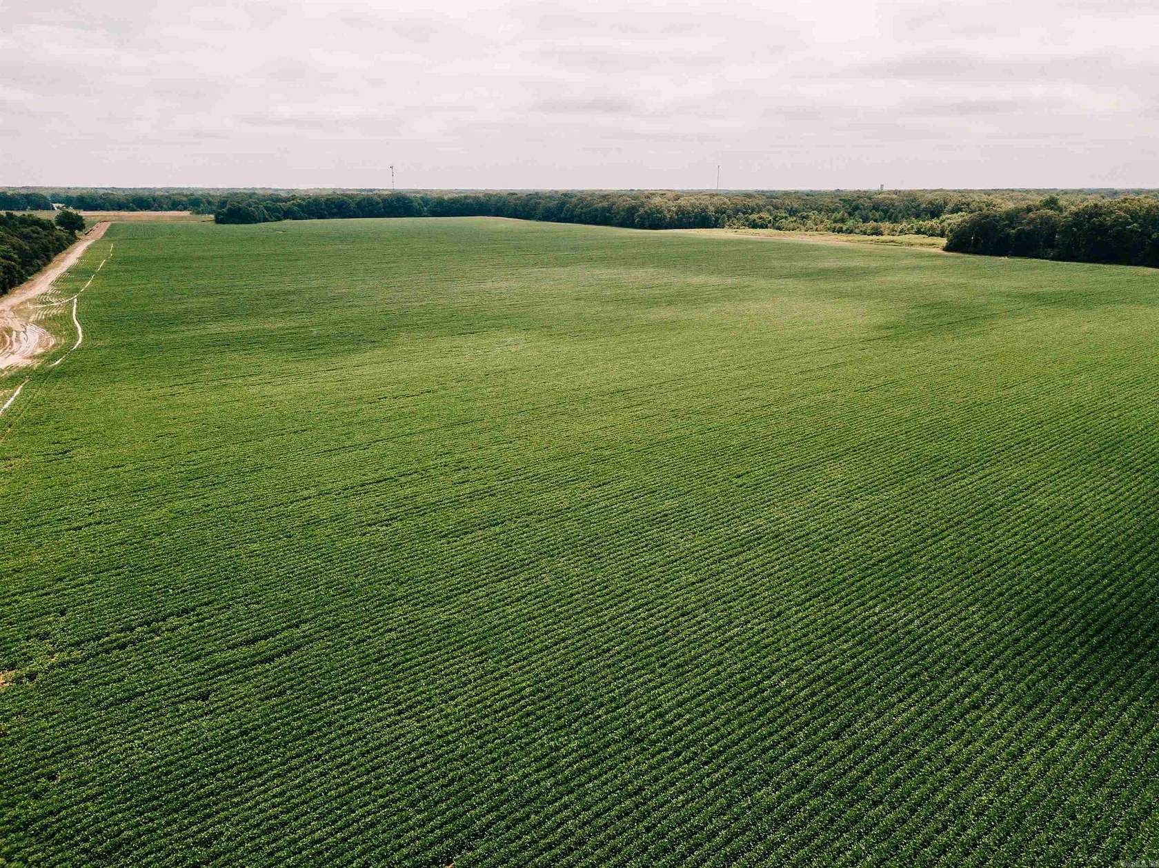 625 Acres of Land for Sale in DeWitt, Arkansas
