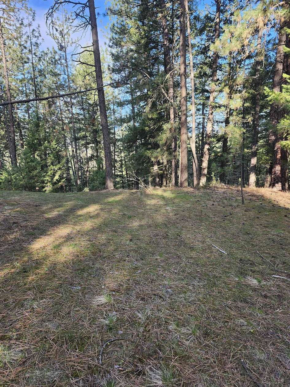 1.4 Acres of Residential Land for Sale in Valley, Washington