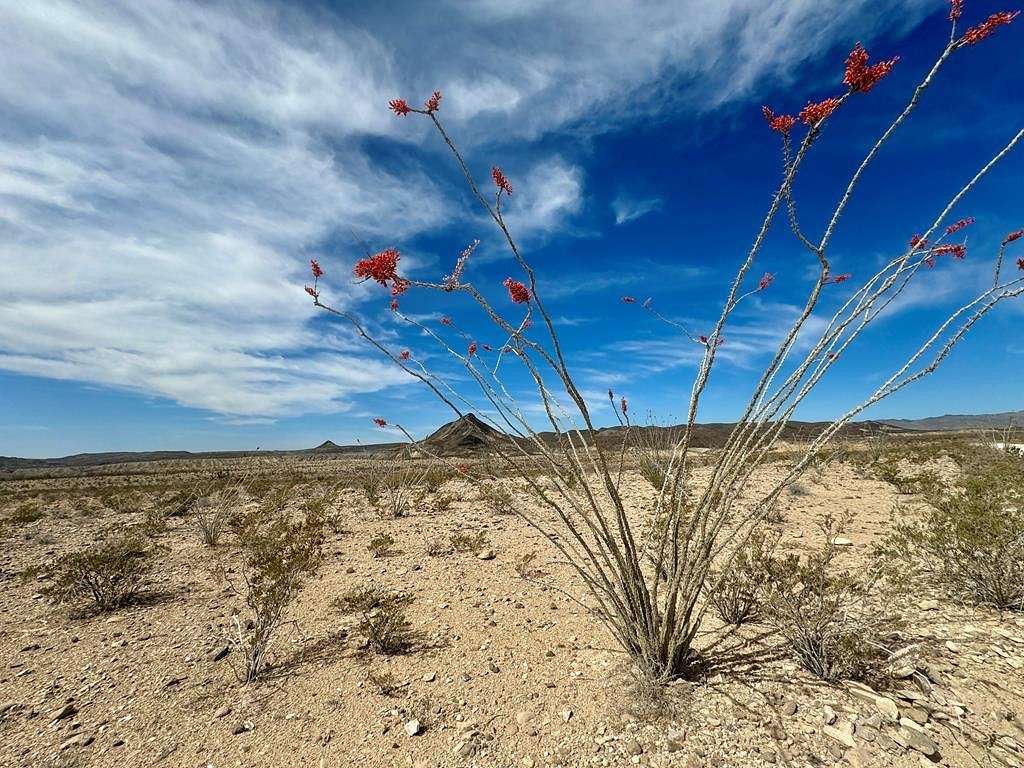 10 Acres of Land for Sale in Terlingua, Texas