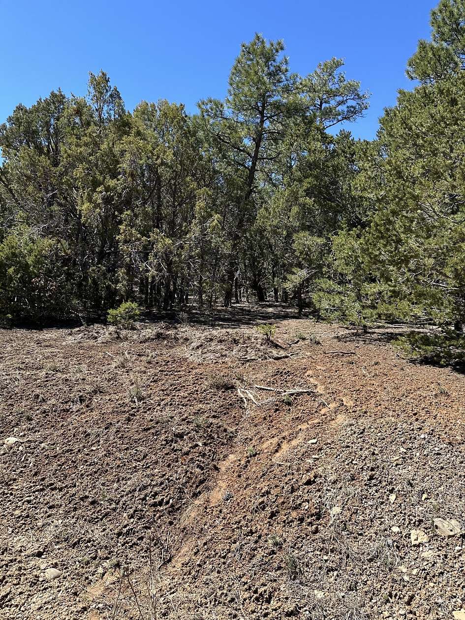 0.79 Acres of Land for Sale in Tijeras, New Mexico