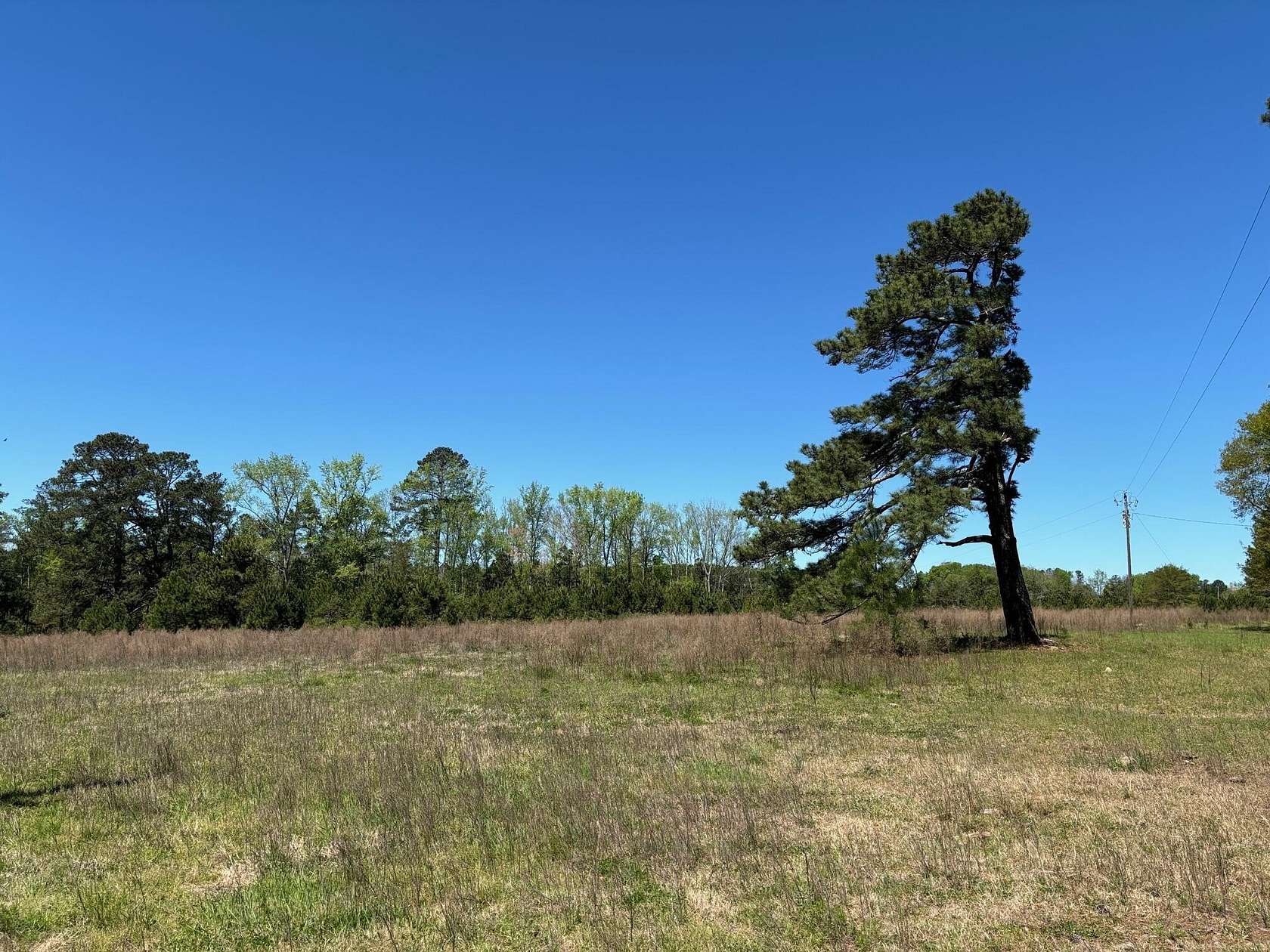 166.82 Acres of Land for Sale in Thomson, Georgia