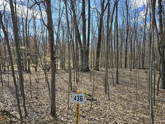 0.37 Acres of Land for Sale in Canadian Lakes, Michigan