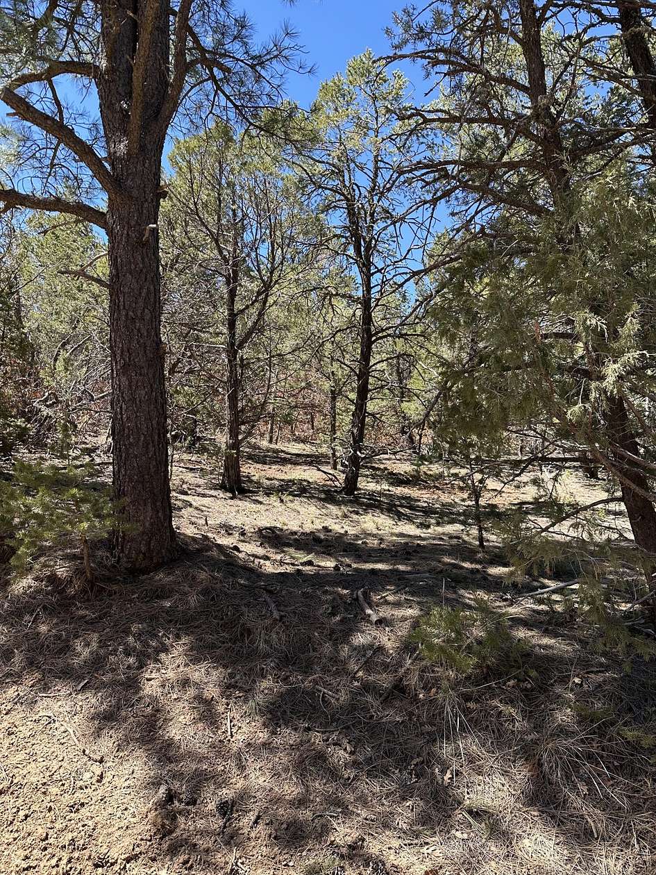 0.75 Acres of Land for Sale in Tijeras, New Mexico