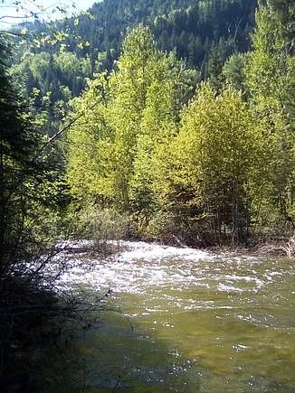 18.5 Acres of Recreational Land for Sale in Ione, Washington