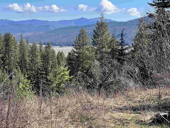 20 Acres of Recreational Land for Sale in Valley, Washington