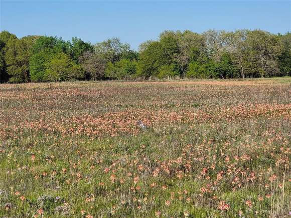 5 Acres of Residential Land for Sale in Springtown, Texas