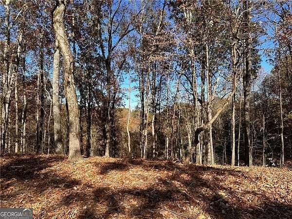 1.49 Acres of Residential Land for Sale in Ranger, Georgia