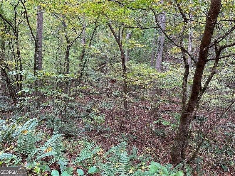 1 Acre of Residential Land for Sale in Ranger, Georgia