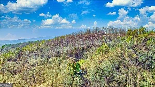 1.29 Acres of Residential Land for Sale in Ranger, Georgia