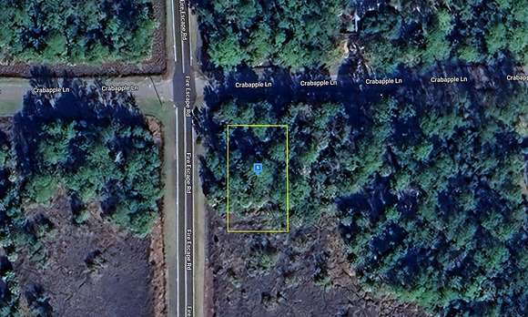 0.2 Acres of Land for Sale in St. Marks, Florida