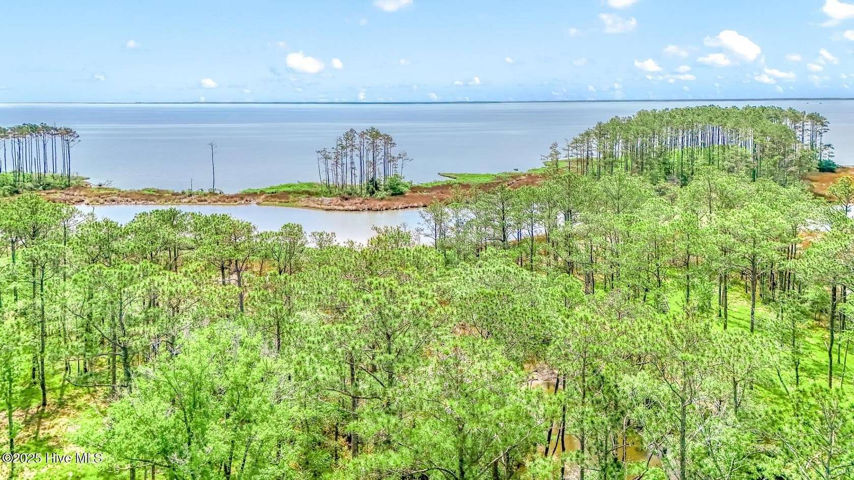 4.1 Acres of Land for Sale in Oriental, North Carolina