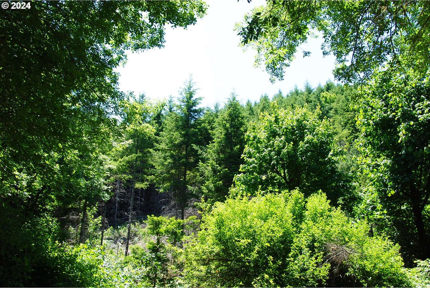 30.9 Acres of Land for Sale in Monmouth, Oregon