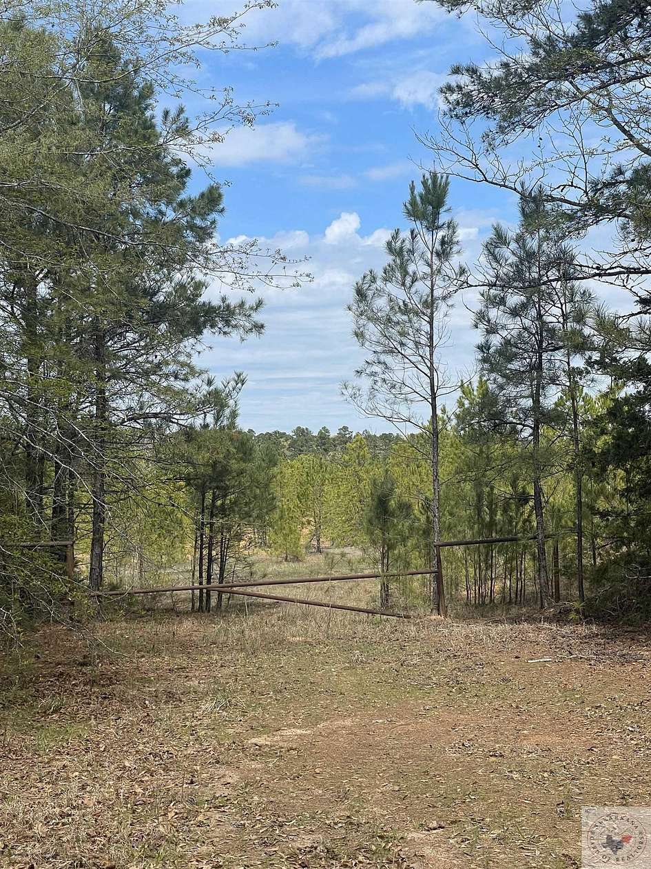 32.91 Acres of Recreational Land for Sale in Jefferson, Texas