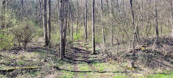 5.263 Acres of Land for Sale in Coshocton, Ohio