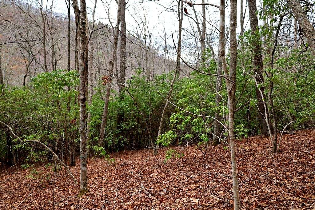 0.96 Acres of Land for Sale in Sylva, North Carolina