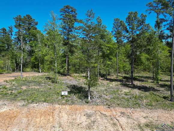 1 Acre of Land for Sale in Hallsville, Texas