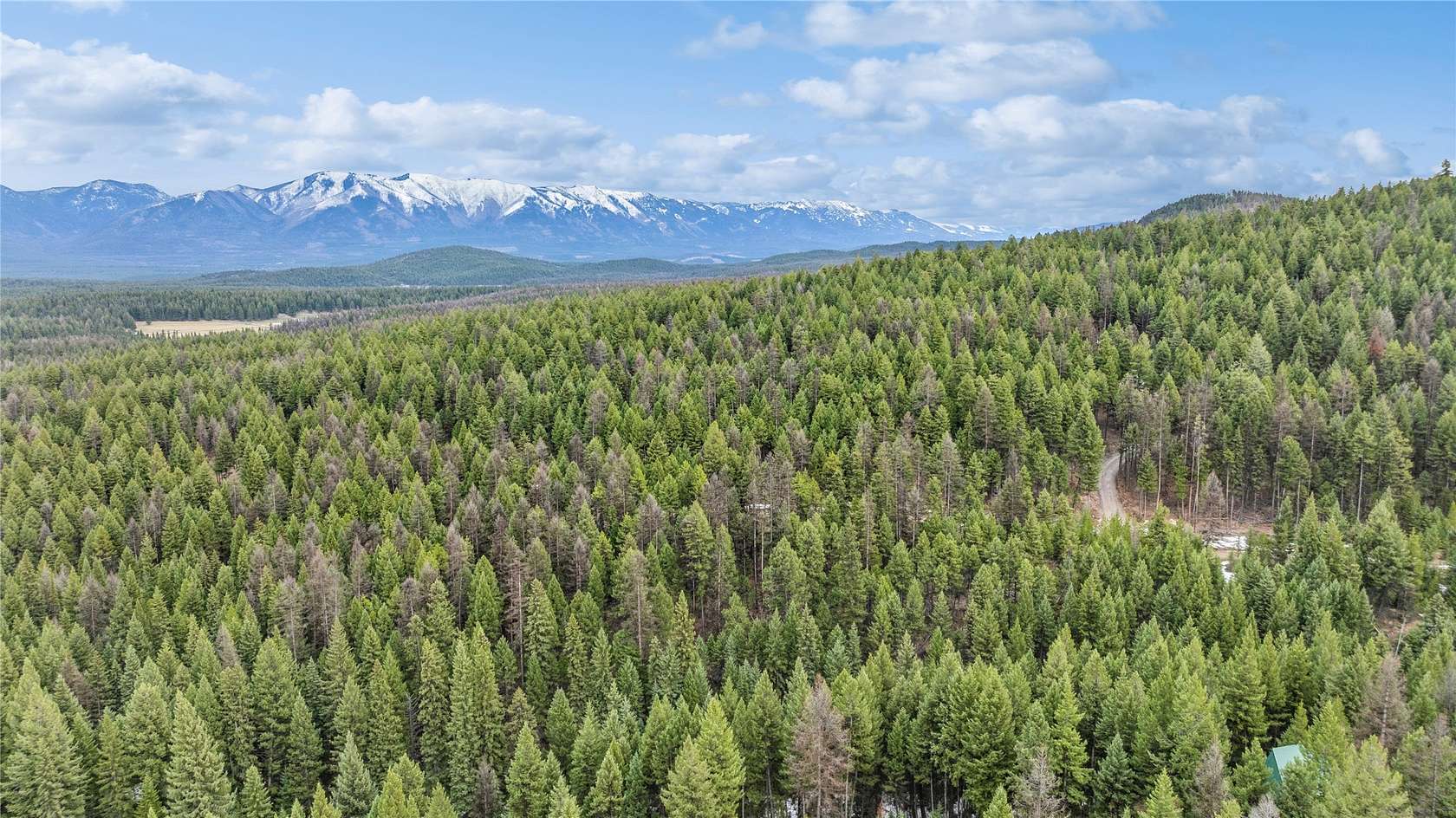 5 Acres of Residential Land for Sale in Fortine, Montana