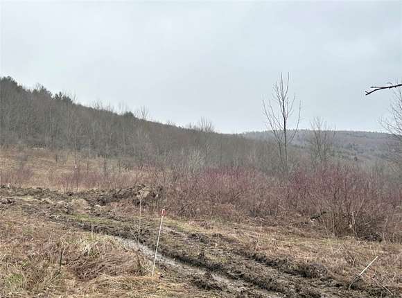6.4 Acres of Residential Land for Sale in Pittsfield, New York