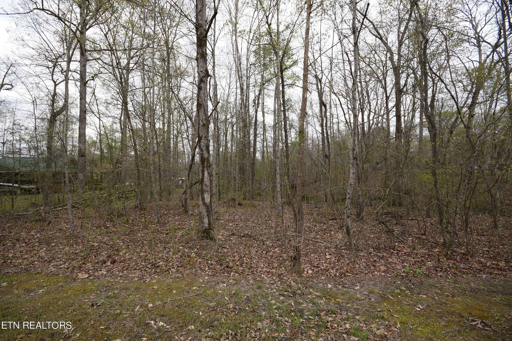0.03 Acres of Residential Land for Sale in Ten Mile, Tennessee