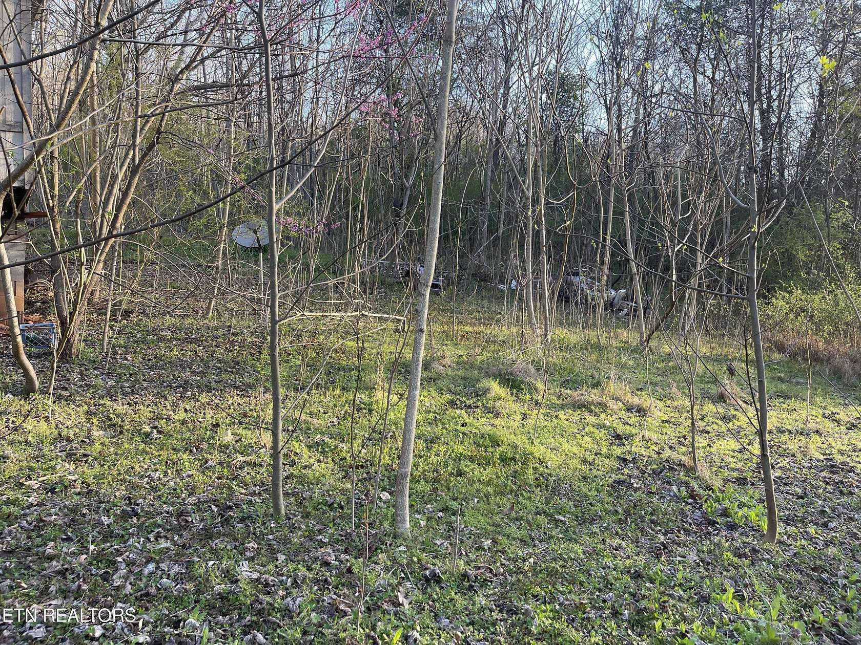 12.1 Acres of Land for Sale in Athens, Tennessee