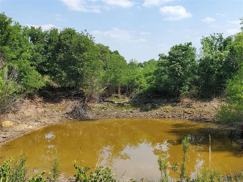 23.5 Acres of Recreational Land for Sale in Comanche, Texas