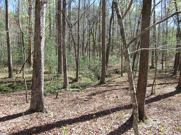 2.3 Acres of Residential Land for Sale in Cleveland, South Carolina