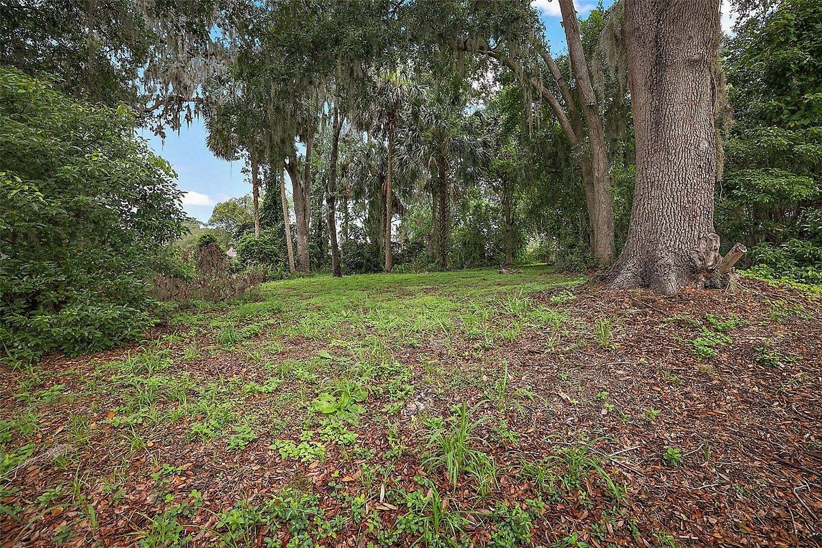 0.28 Acres of Residential Land for Sale in Mount Dora, Florida