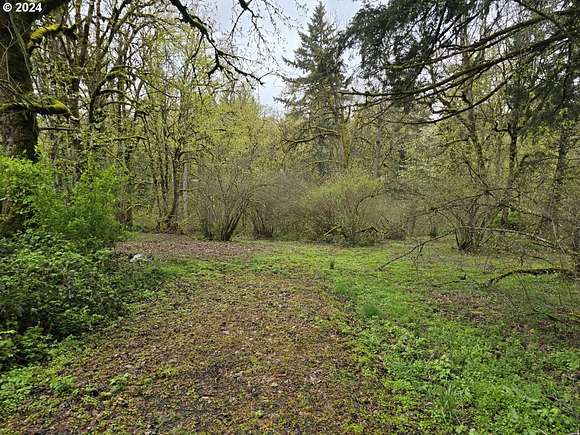 3.7 Acres of Residential Land for Sale in Mulino, Oregon