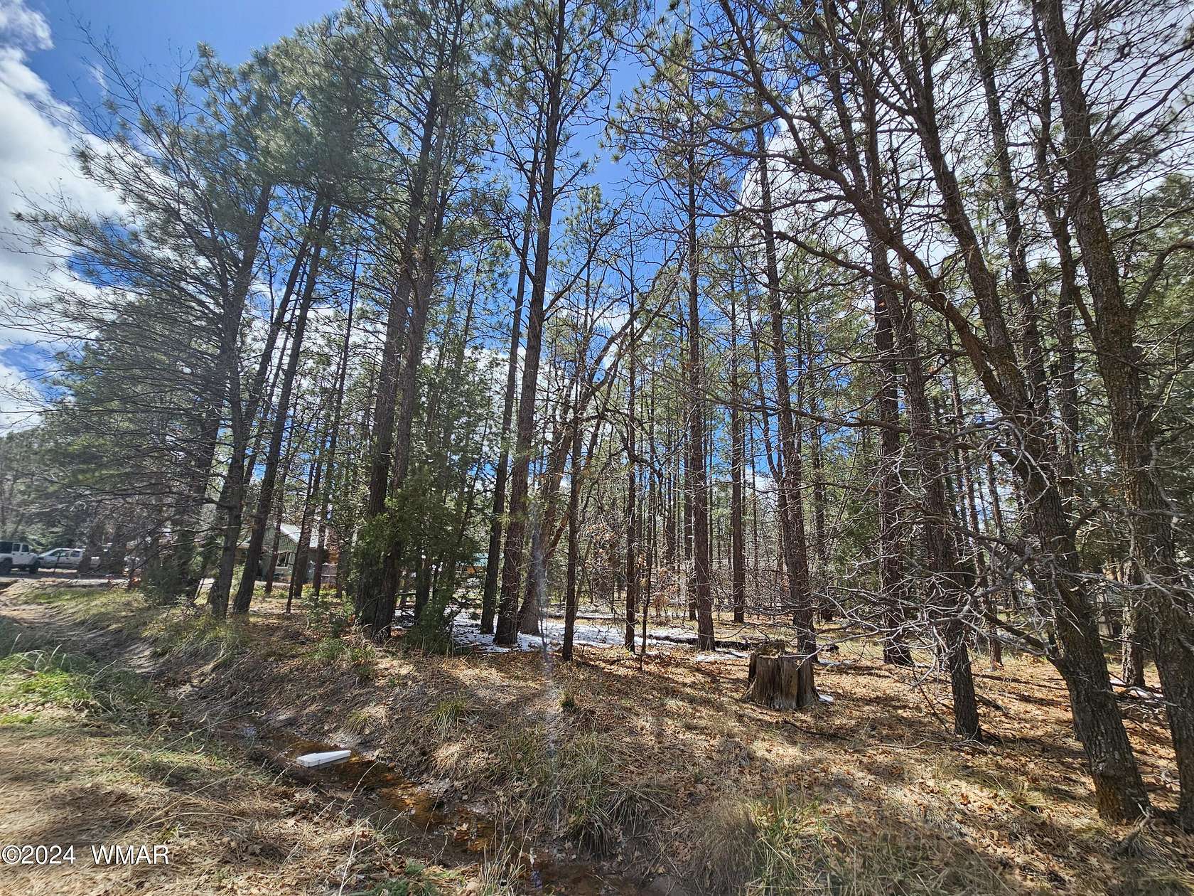 0.3 Acres of Residential Land for Sale in Lakeside, Arizona