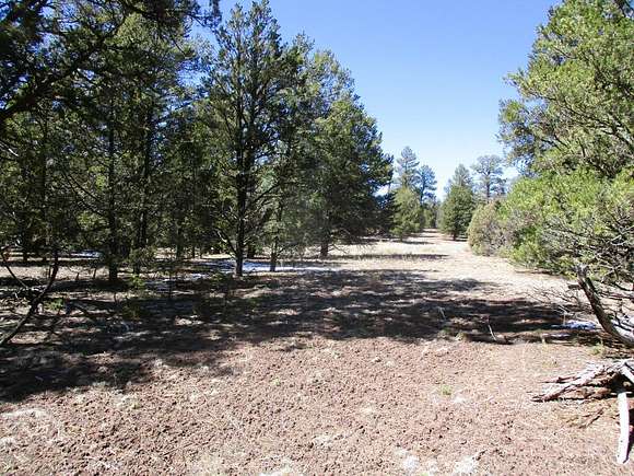 5.3 Acres of Land for Sale in Ramah, New Mexico