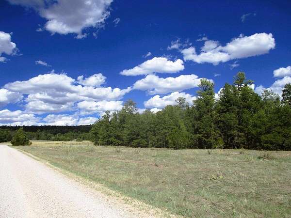 5.29 Acres of Land for Sale in Ramah, New Mexico