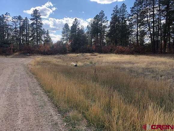 4.4 Acres of Residential Land for Sale in Pagosa Springs, Colorado
