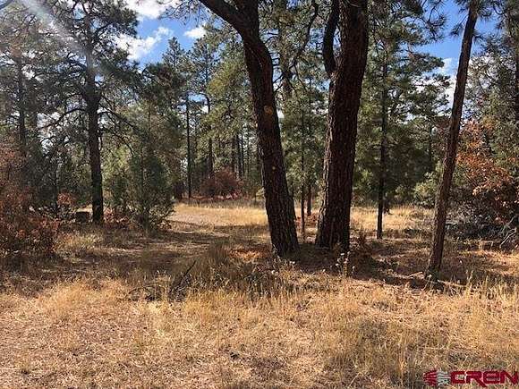 4.1 Acres of Residential Land for Sale in Pagosa Springs, Colorado