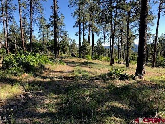4.1 Acres of Residential Land for Sale in Pagosa Springs, Colorado