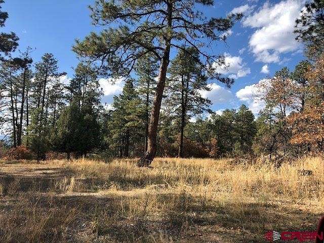 4.6 Acres of Residential Land for Sale in Pagosa Springs, Colorado
