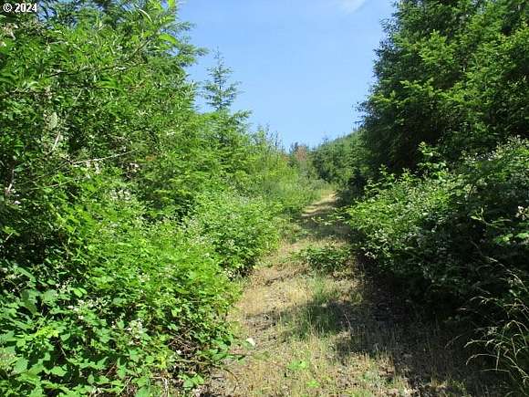 397 Acres of Land for Sale in Scio, Oregon