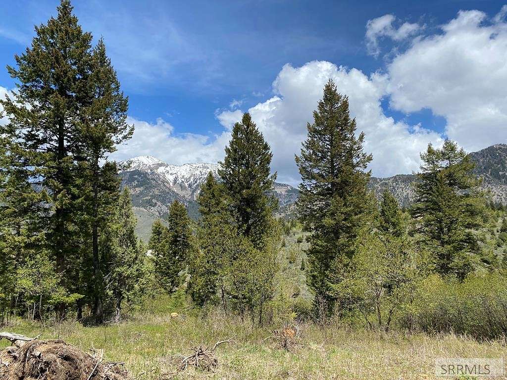 3.75 Acres of Residential Land for Sale in Irwin, Idaho