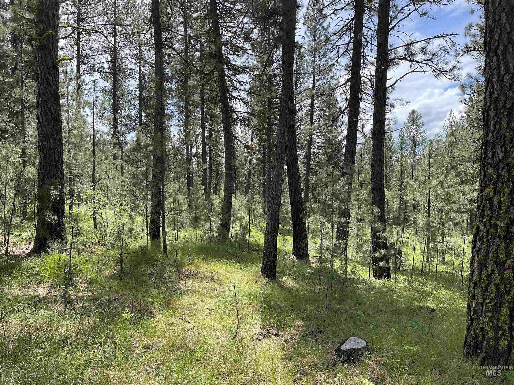 0.53 Acres of Land for Sale in New Meadows, Idaho