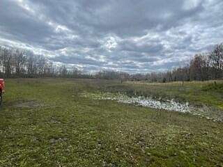 100 Acres of Recreational Land & Farm for Sale in West Liberty, Kentucky