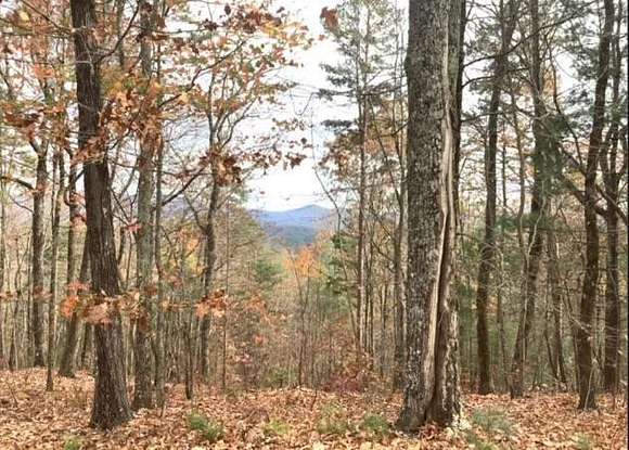 3.2 Acres of Residential Land for Sale in Ellijay, Georgia