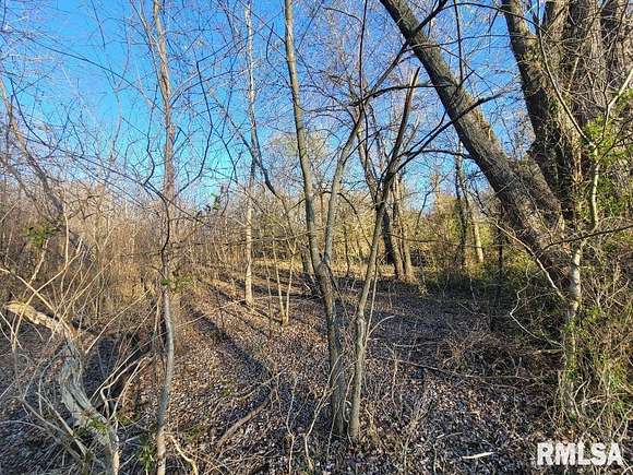 5 Acres of Residential Land for Sale in Bonnie, Illinois
