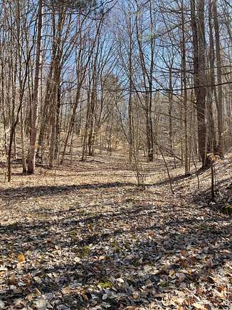 10 Acres of Recreational Land for Sale in Manistee, Michigan