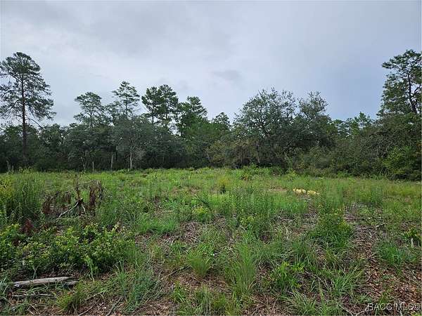 0.6 Acres of Residential Land for Sale in Citrus Springs, Florida