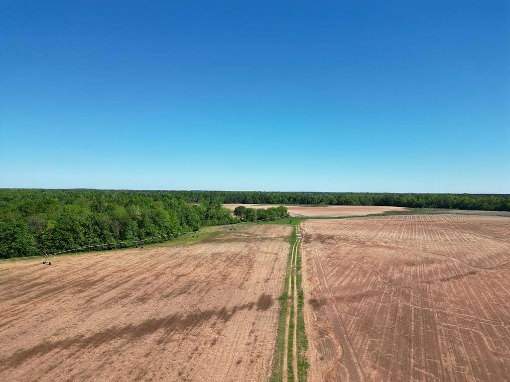361 Acres of Land for Sale in Blakely, Georgia