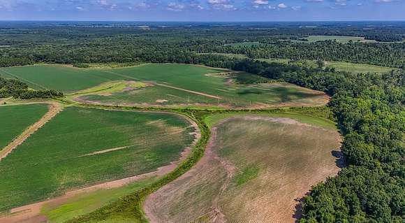 361.4 Acres of Recreational Land & Farm for Sale in Blakely, Georgia