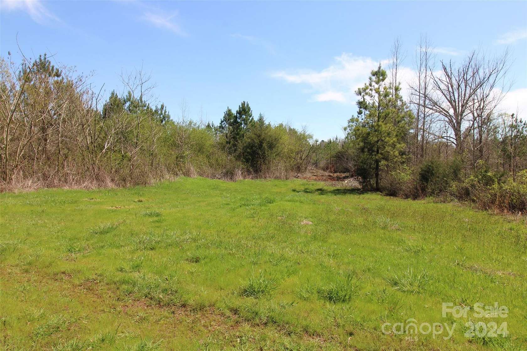 12 Acres of Recreational Land for Sale in Chester, South Carolina