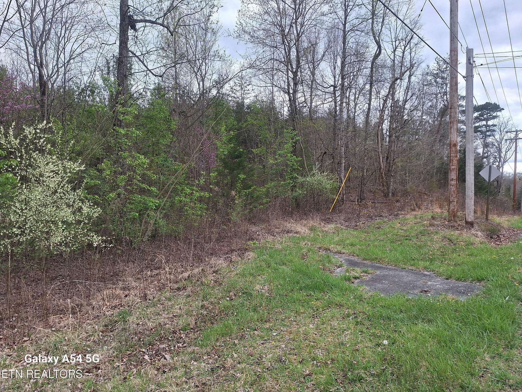11.5 Acres of Land for Sale in Maryville, Tennessee