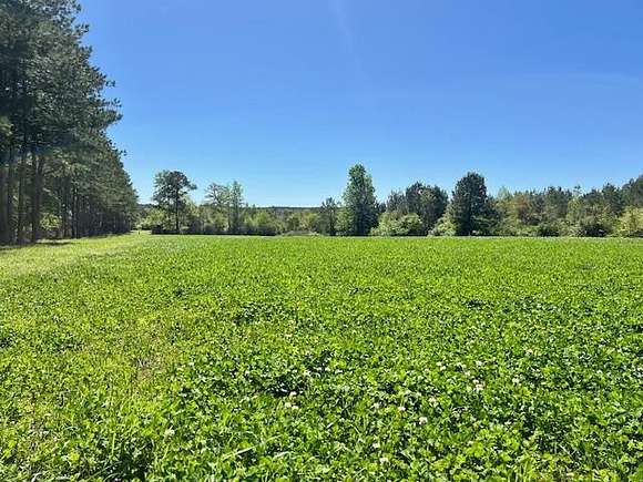 305 Acres of Recreational Land & Farm for Sale in Tylertown, Mississippi